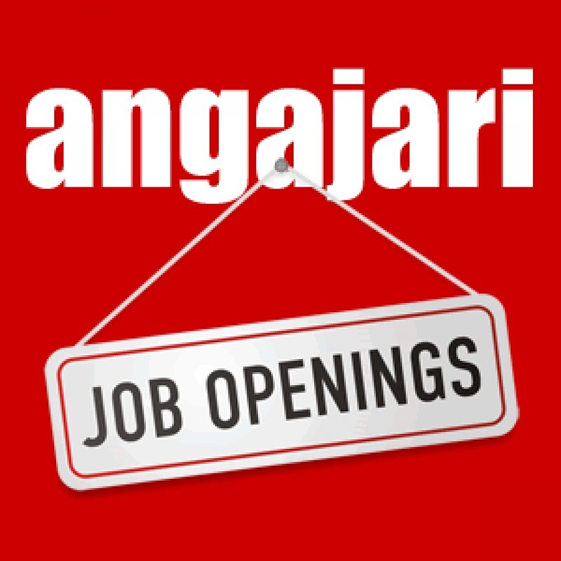 Tinere 18 +. Vrei sa castigi bani reali, rapid si sigur?